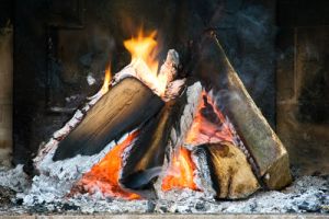 Smokey Fireplace from burning wet wood
